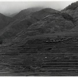 Rice Terraces, Ifugao