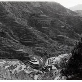 Rice Terraces, Ifugao