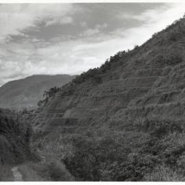 Rice Terraces, Ifugao