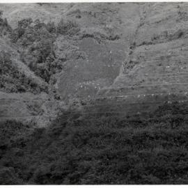 Rice Terraces, Ifugao