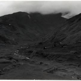 Rice Terraces, Ifugao