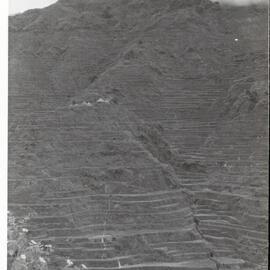 Rice Terraces, Ifugao