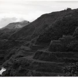 Rice Terraces, Ifugao