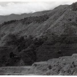Rice Terraces, Ifugao