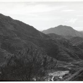 Rice Terraces, Ifugao