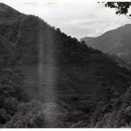 Rice Terraces, Ifugao