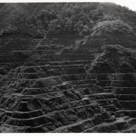 Rice Terraces, Ifugao