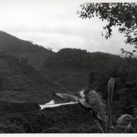 Rice Terraces, Ifugao