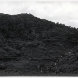 Rice Terraces, Ifugao