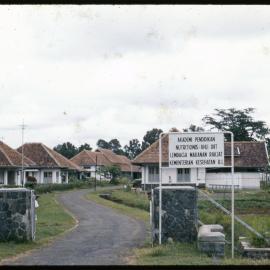 Nutrition Academy and Food Institute