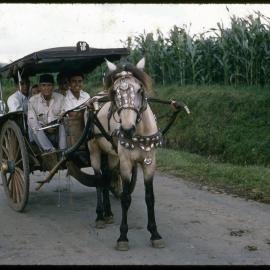 Horse Drawn Carriage