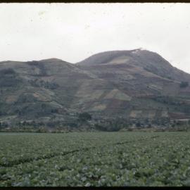 Field and Mountain