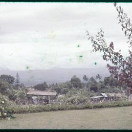 View from a Garden