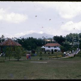 People Walking Through Park