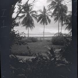 [Manum Island, New Guinea] Views of Potsdammhafen from Awar Plantation