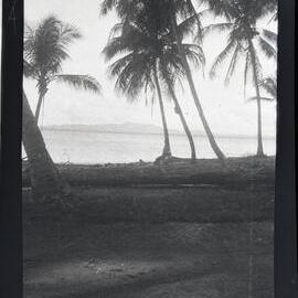 [Manum Island, New Guinea] Views of Potsdammhafen from Awar Plantation