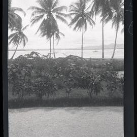[Manum Island, New Guinea] A Manam Canoe Returning from Awar Village