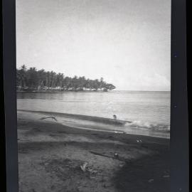 [Manum Island, New Guinea] View of the beach at Awar Plantation