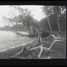 [Manum Island, New Guinea] The Beach of Tsogari Looking Northwards