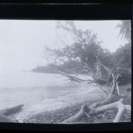 [Manum Island, New Guinea] The Beach of Tsogari Looking Northwards