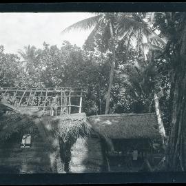 [Manum Island, New Guinea] Removing Old Thatch From my [Wedgwood] House