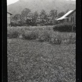[Manum Island, New Guinea] Manam Mountain from Bieŋ