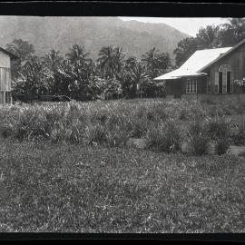 [Manum Island, New Guinea] Manam Mountain from Bieŋ