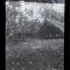 [Manum Island, New Guinea] Tsabo’o’s Hut in Borautsi’i’s Homestead Showing the Village Garden Beside it