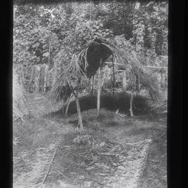 [Manum Island, New Guinea] Ararua’s Grave in the Village Cemetery with Areca-nut etc Placed Before it