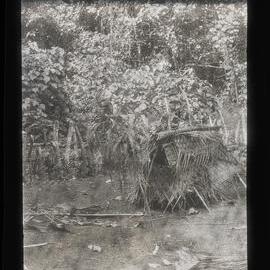[Manum Island, New Guinea] Maida’s Grave