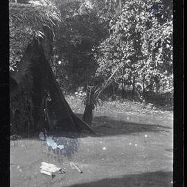 [Manum Island, New Guinea] The Front of Ararua’s Hut Showing the Post on Which are Hung his Loincloth and Some Areca Nut