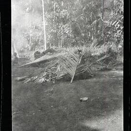 [Manum Island, New Guinea] The Food Supplied for the Women of Madauri and Waia Respectively