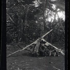 [Manum Island, New Guinea] The Food Supplied for the Men of Madauri 