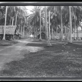 [Manum Island, New Guinea] View of the Married Quarters on Awar Plantation
