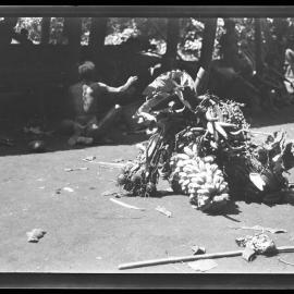 [Manum Island, New Guinea] The Food Supplied by Yabururu and Badiadega