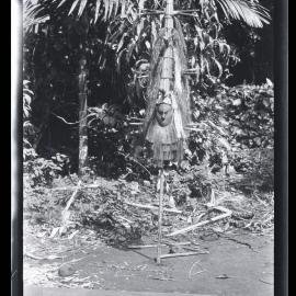 [Manum Island, New Guinea] The laŋolaŋo of Yabururu Showing the morupu and the baligo which have been hung on it