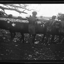 [Manum Island, New Guinea] The Men Carrying the Hull of the Waia Canoe Down to Dabwa Beach where it is to be Finally put Together