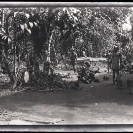 [Manum Island, New Guinea] The 'Bed' on which the tapa’a is to be Cooked has just been Finished
