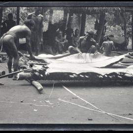 [Manum Island, New Guinea] Laying Down a Wild Banana Leaf into which the tapa’a is to be Packed