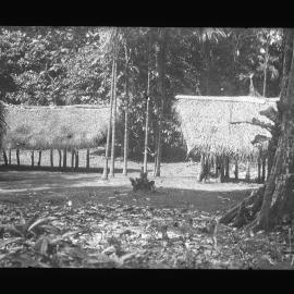[Manum Island, New Guinea] The New Maguŋtubu uŋguma Homesteads