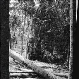 [Narau Island] The Rock in Which is the Cave Where Dwelt the Two Original Deboe Women