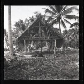 [Narau] A House in the Process of Being Built. Pandanus Leaf Thatch