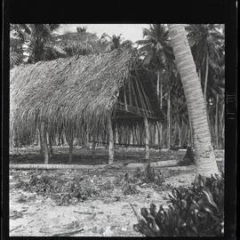 [Narau] A House in the Process of Being Built. Pandanus Leaf Thatch