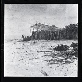 [Narau] A High Platform for Frigate Birds on the Meneŋ Beach Near the Leper Station
