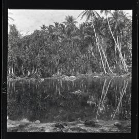 [Narau] A Lagoon in Meneŋ in the Coconut Belt Fringed with Pandanus Palms