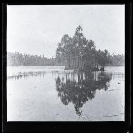 [Narau] Buoda Lagoon from the Western End Showing Islet of Pandanus Trees