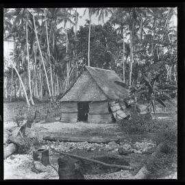 [Narau] An Old Style Hut in Buoda Showing Beginnings of a Garden with Bananas and Pawpaws