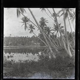 [Narau] Buoda Lagoon Looking West South West