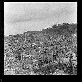 [Narau] Part of a Worked Out Phosphate Field Near the Wireless Station