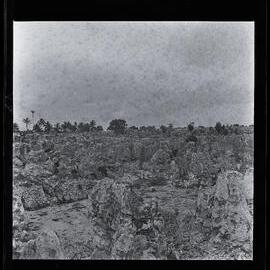 [Narau] Part of a Worked Out Phosphate Field Near the Wireless Station